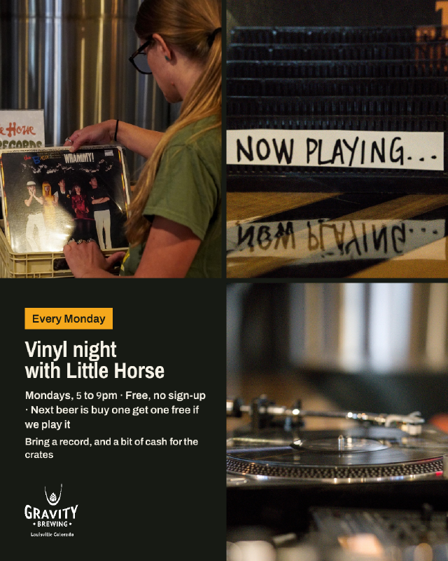 Poster for Vinyl Night with Little Horse